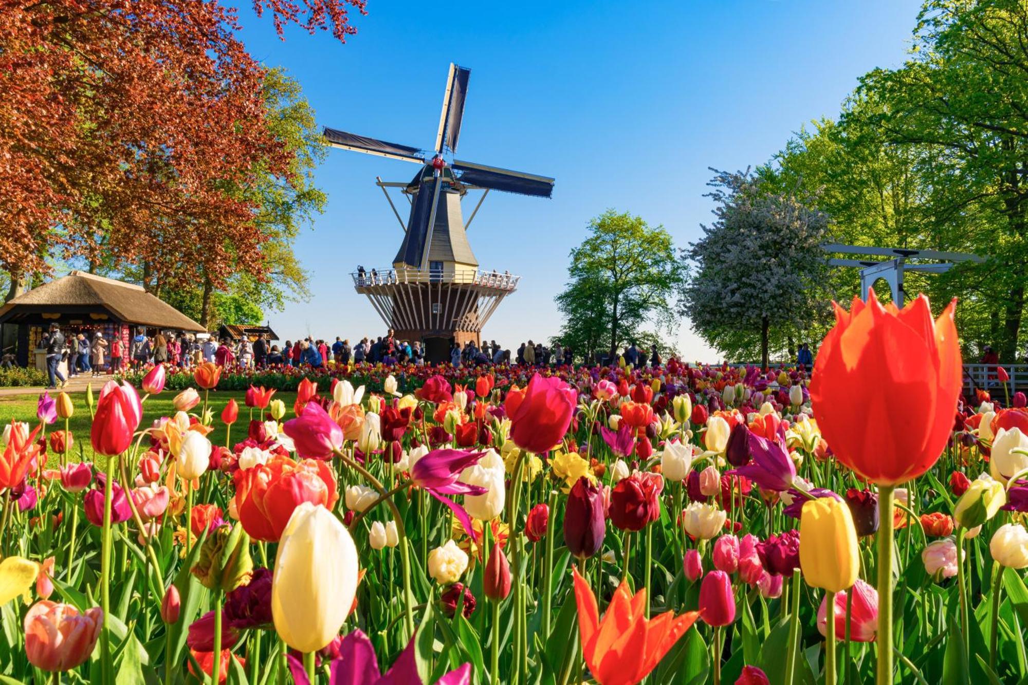 Vila Heerehuys Lisse Exteriér fotografie